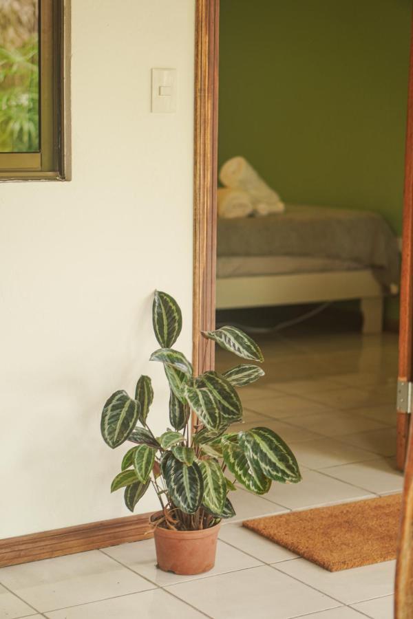 Gala Apts Playa Santa Teresa  Kültér fotó